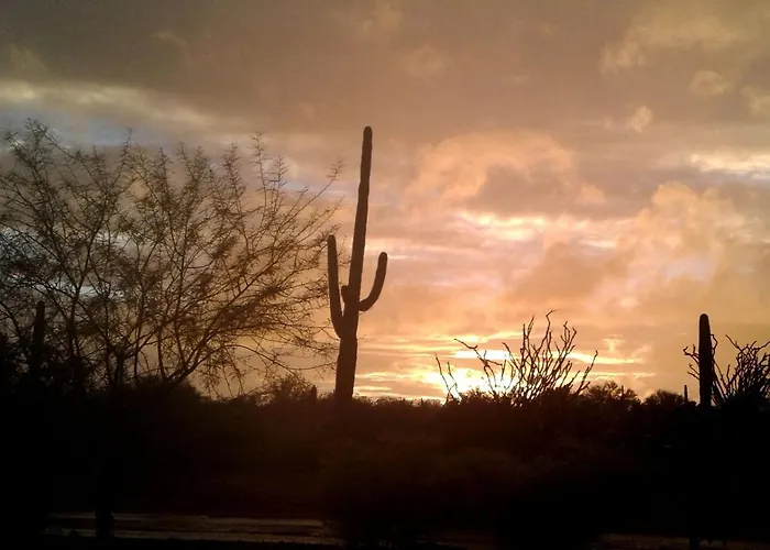 Sophisticated Desert Near Scottsdale, Arizona *